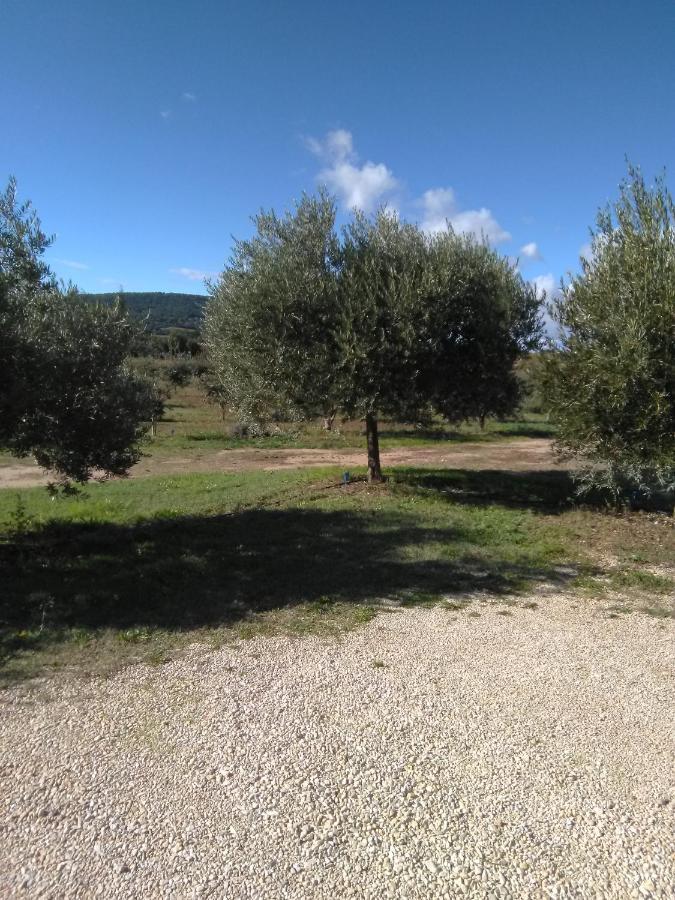 Vacances Vaison La Romaine Екстериор снимка